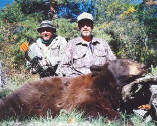 Archery Elk Hunts