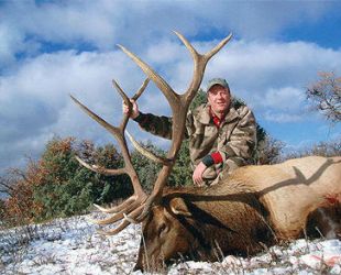 Rifle Elk Hunts