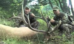 Elk Hunting Trip