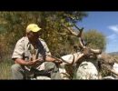 Mule Deer Hunting with Milligan Brand Outfitting