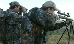 Rifle Elk Hunting Trip